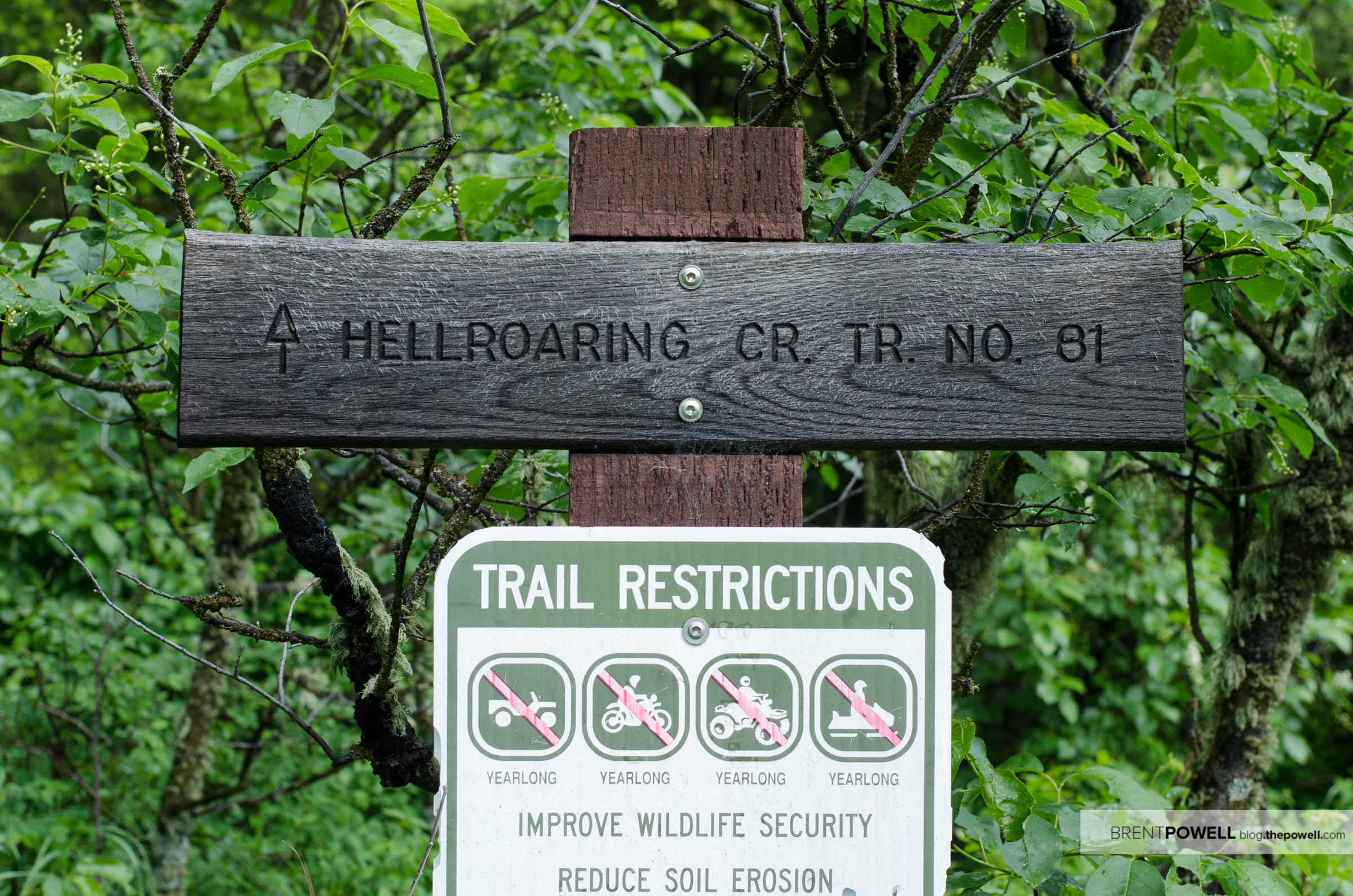 Hell Roaring Creek Trail