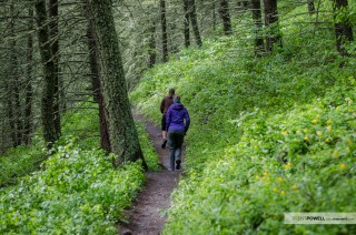 Hikers