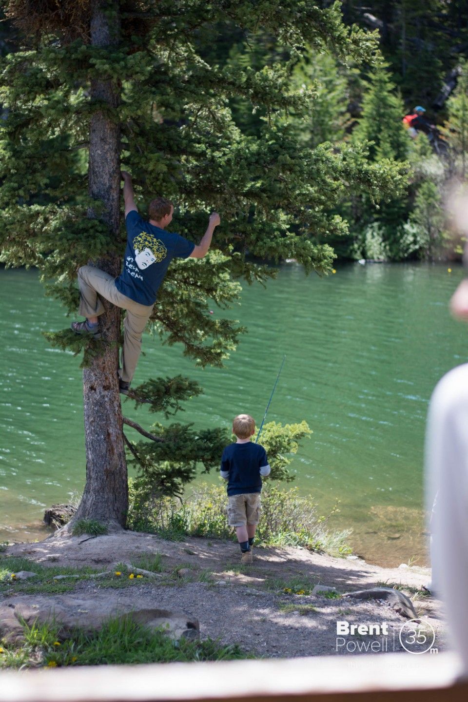 The things you have to do as a father, like remove fishing line from a tree.