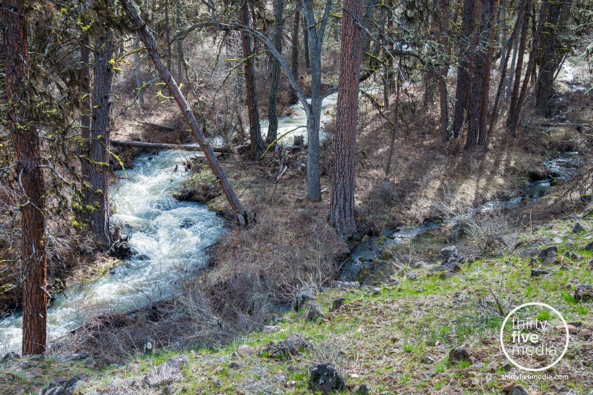 Larch Creek