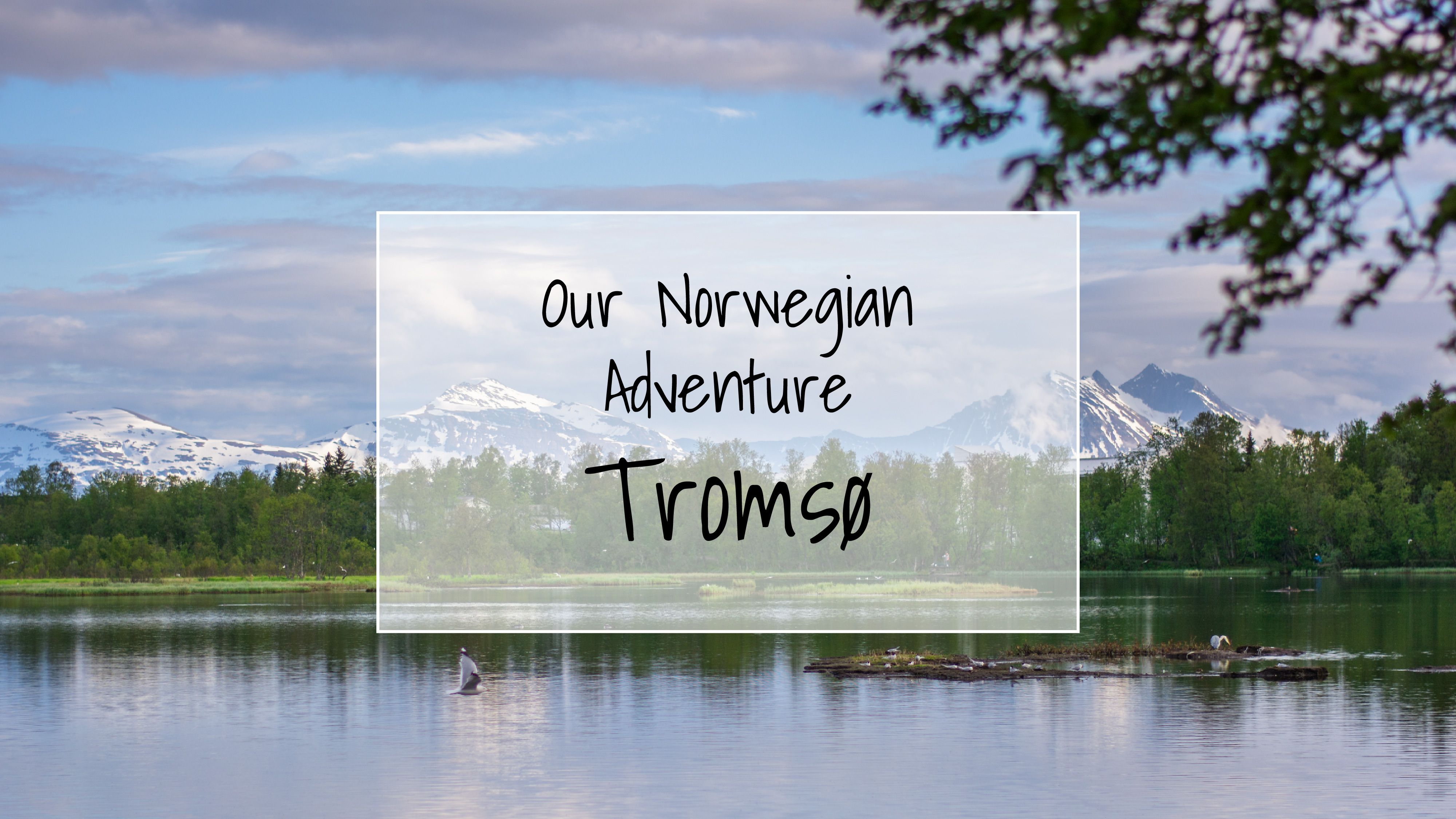 Our Norwegian Adventure | Tromsø