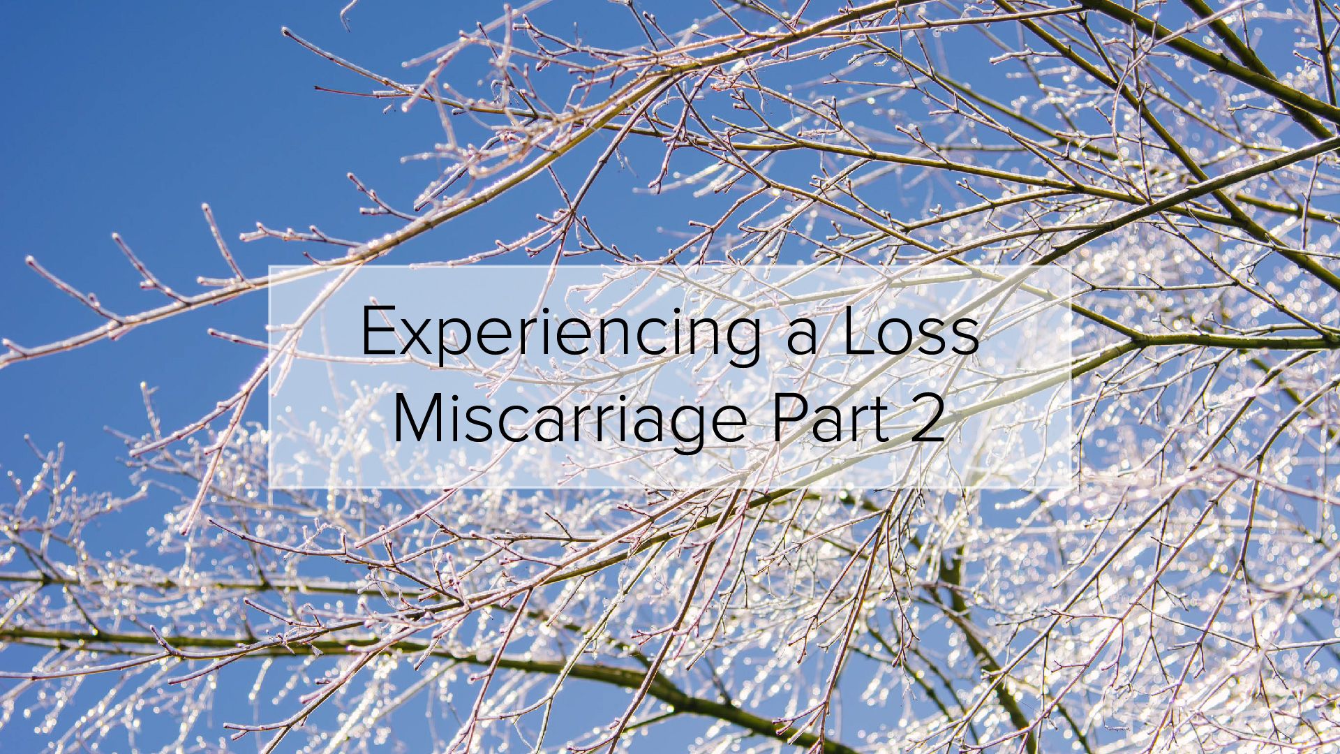 Experiencing a Loss | Miscarriage Part 2