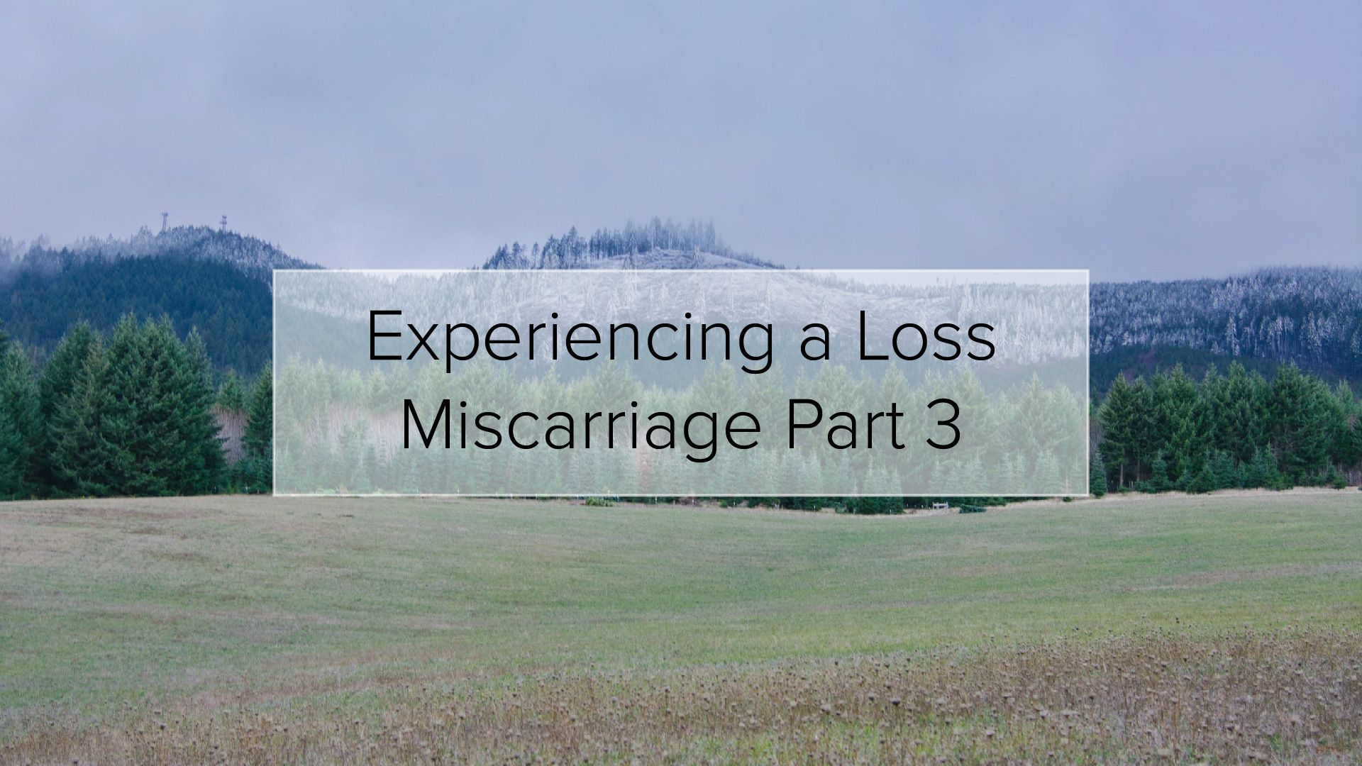 Experiencing a Loss | Miscarriage Part 3