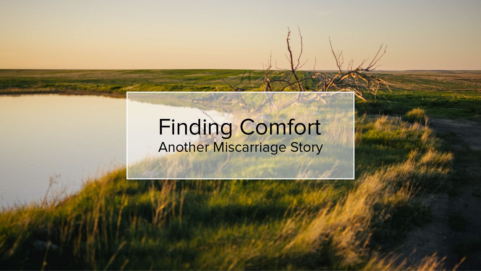 Finding Comfort | Another Miscarriage Story