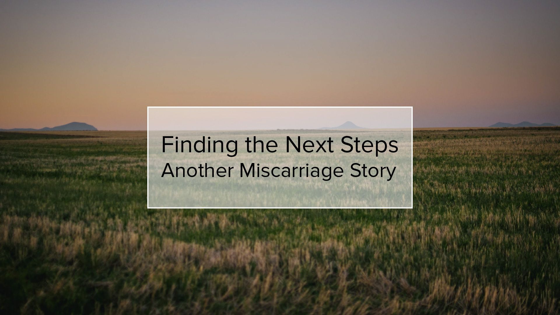Finding the Next Steps | Another Miscarriage Story