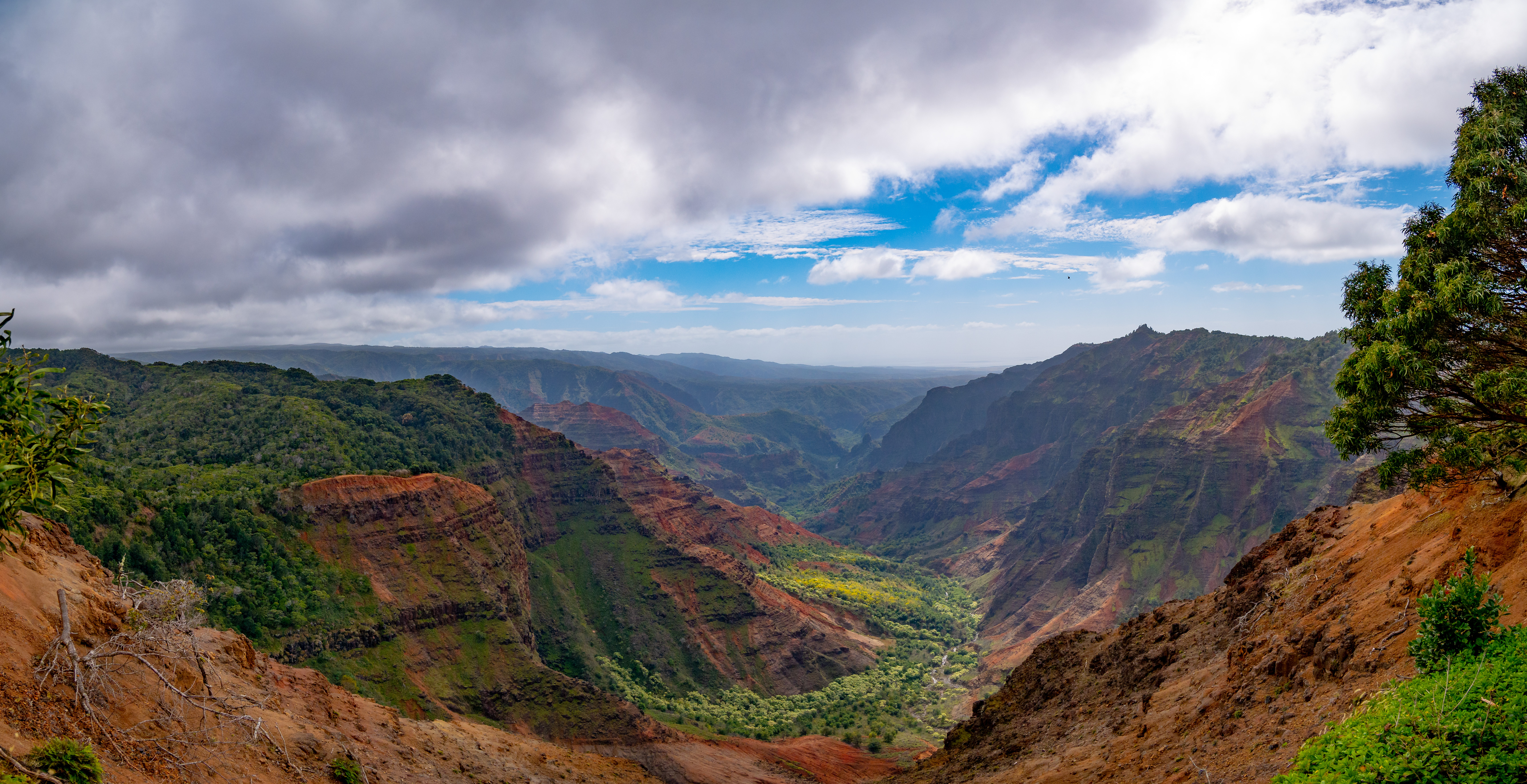 Looking down the Waimea Canyon with lush greenery and red earth