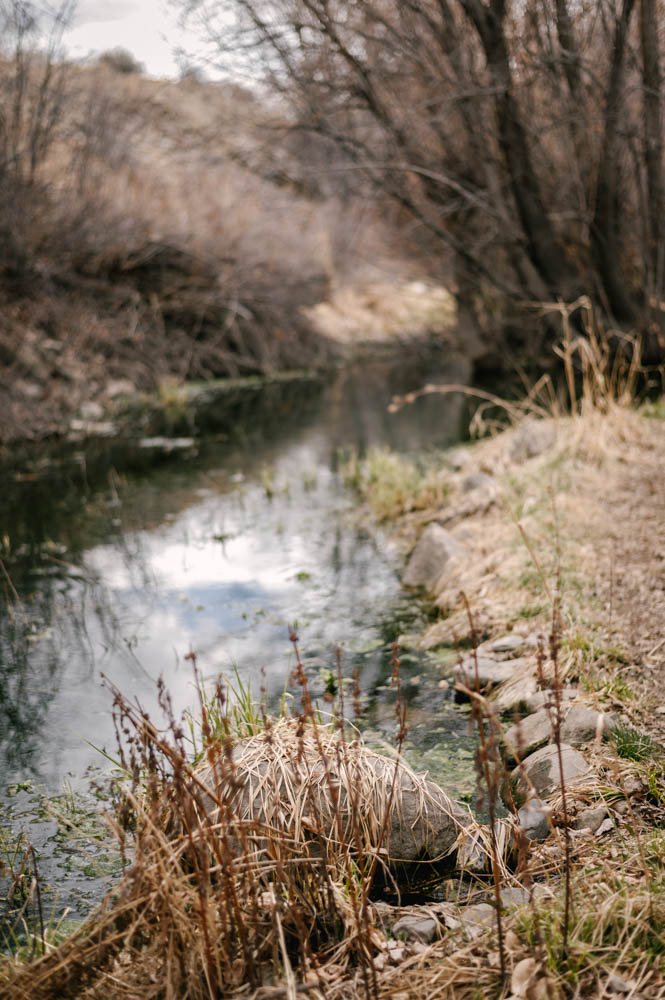 Nature Park Helena, MT